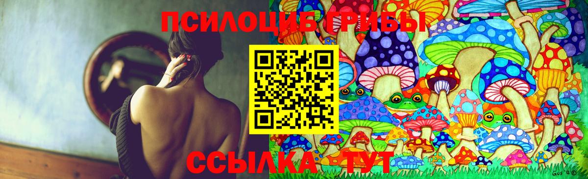 Псилоцибиновые грибы Psilocybine cubensis Гай